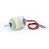 Gear Motor 100 RPM